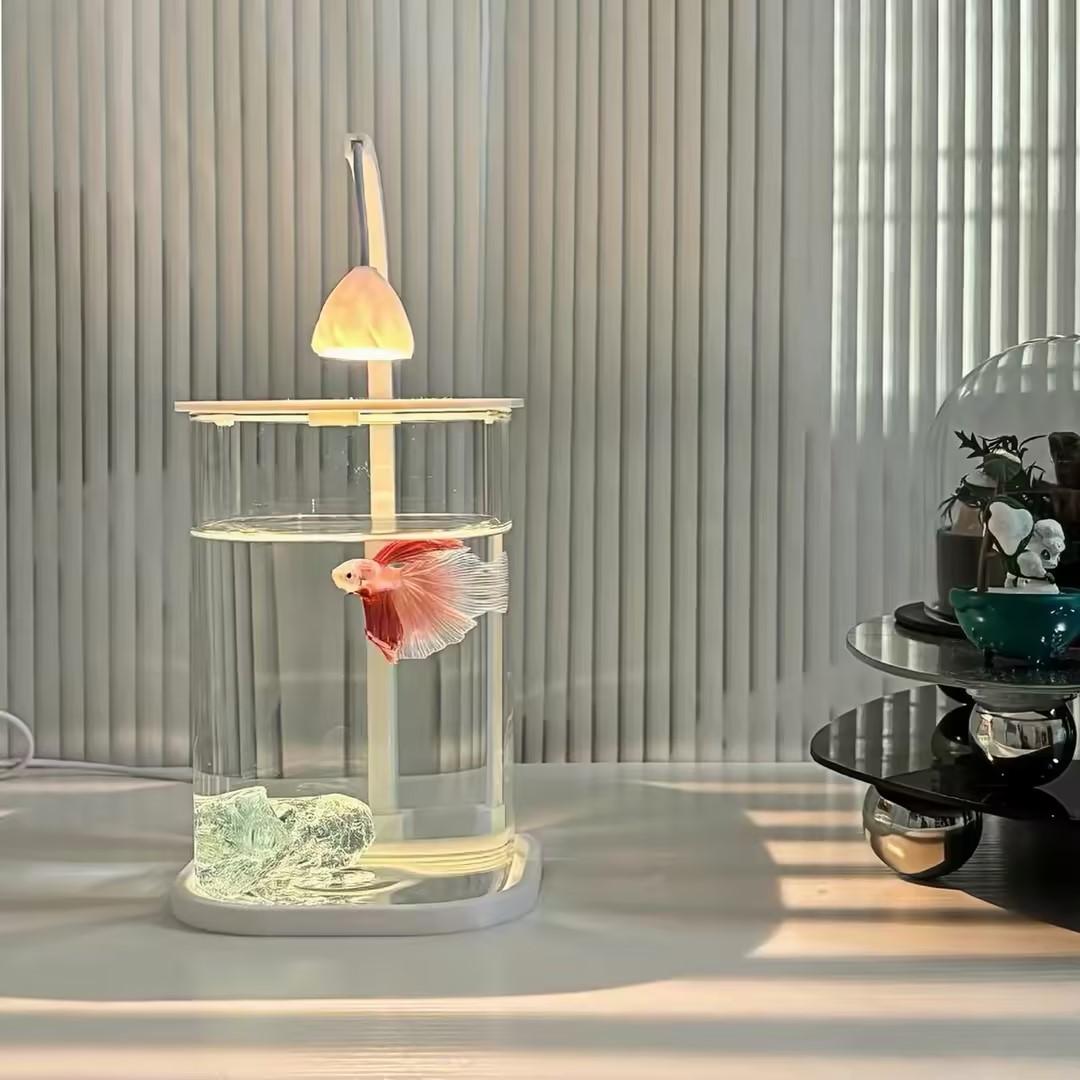 Planted Aquarium For Betta - 360 ° Панорамный прозрачный настольный аквариум-террариум