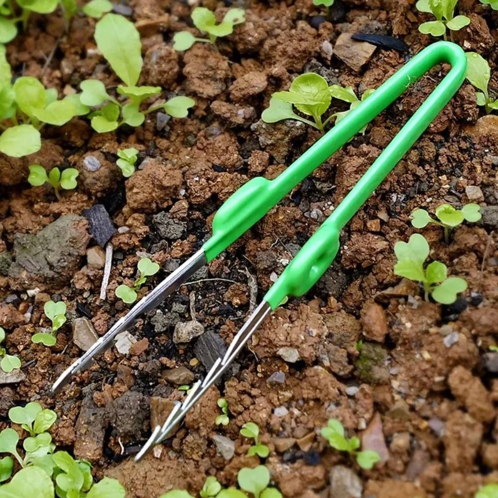 Planted Clip Tweezers - Садовые пинцеты из нержавеющей стали: прочные,