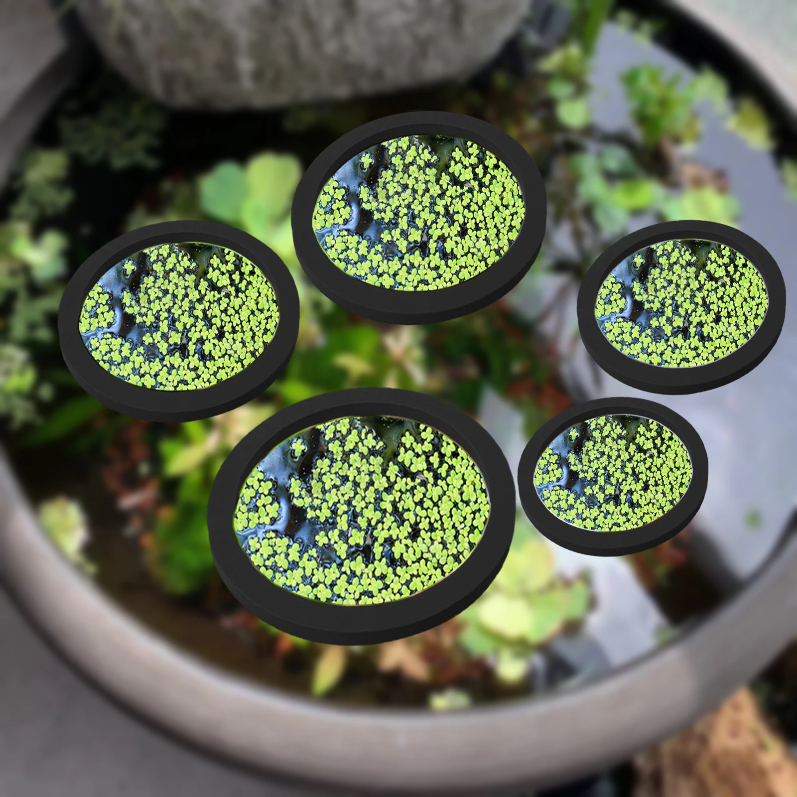 Aquarium Planted Fish - 5 шт., кольцо для кормления рыб