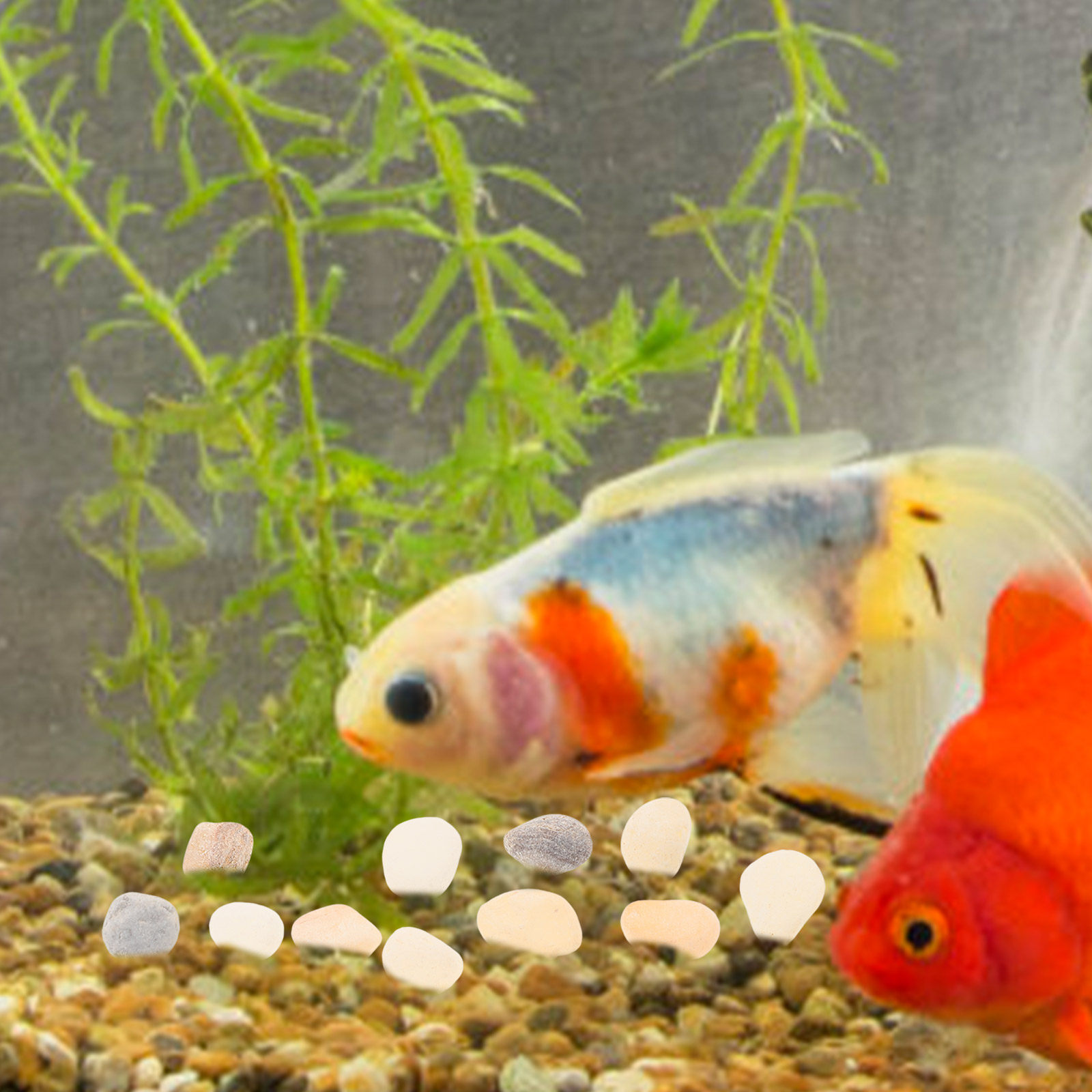 Aquarium Plant Gravel - Натуральная декоративная галька для аквариума, яркий