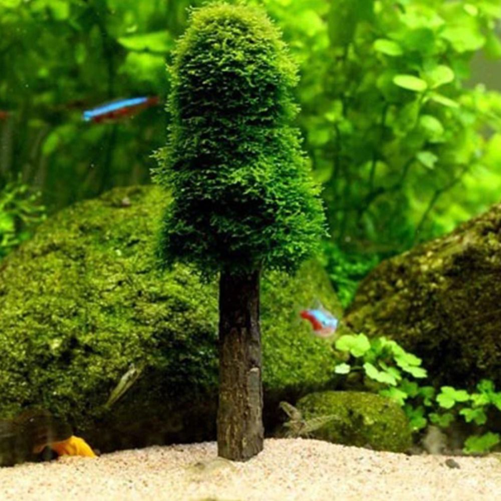 Имитация рождественской елки,  – обзор и цена Planted Aquarium Moss