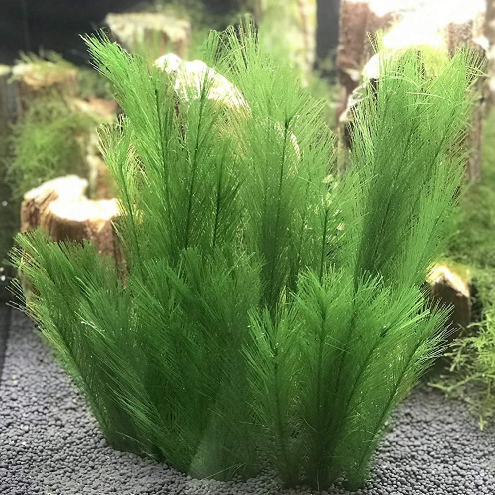1/3 шт. 28/40 см аквариум иску – обзор и цена Aquarium Plant Live