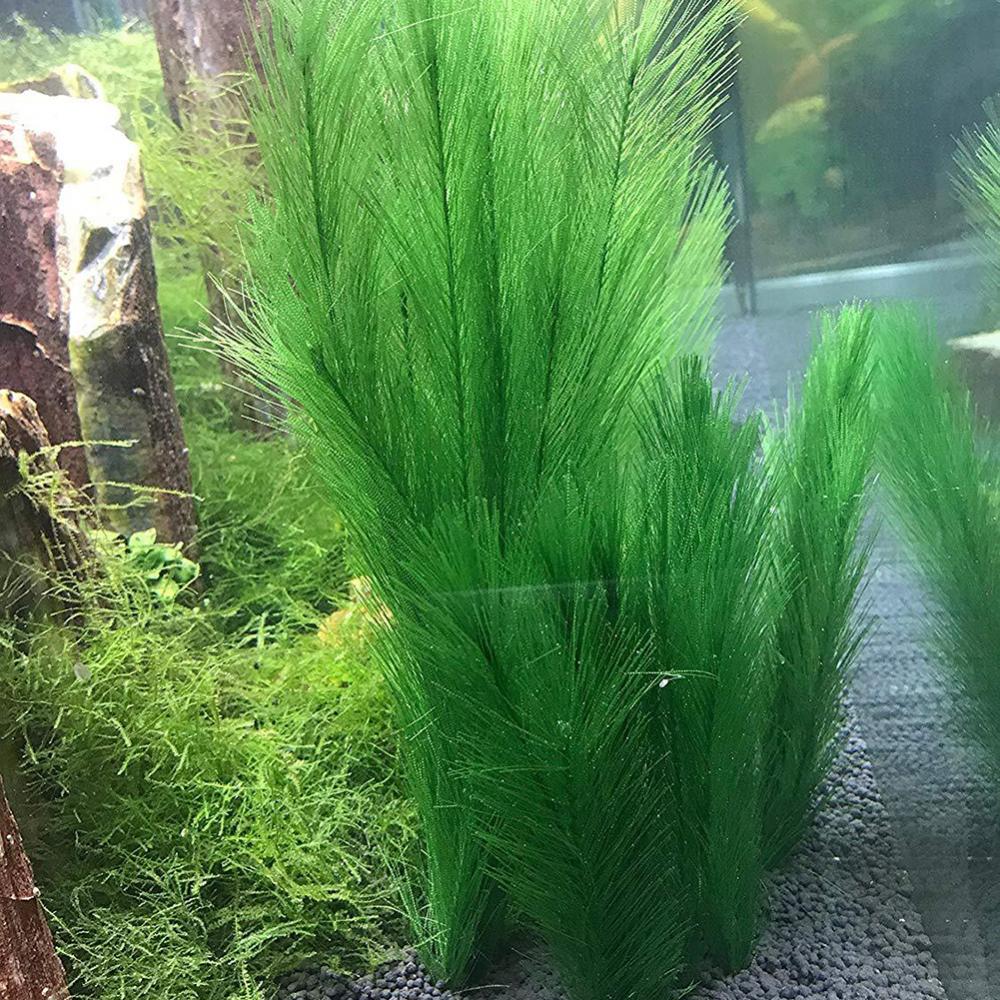 1/3 шт. 28/40 см аквариум иску – обзор и цена Aquarium Plant Live