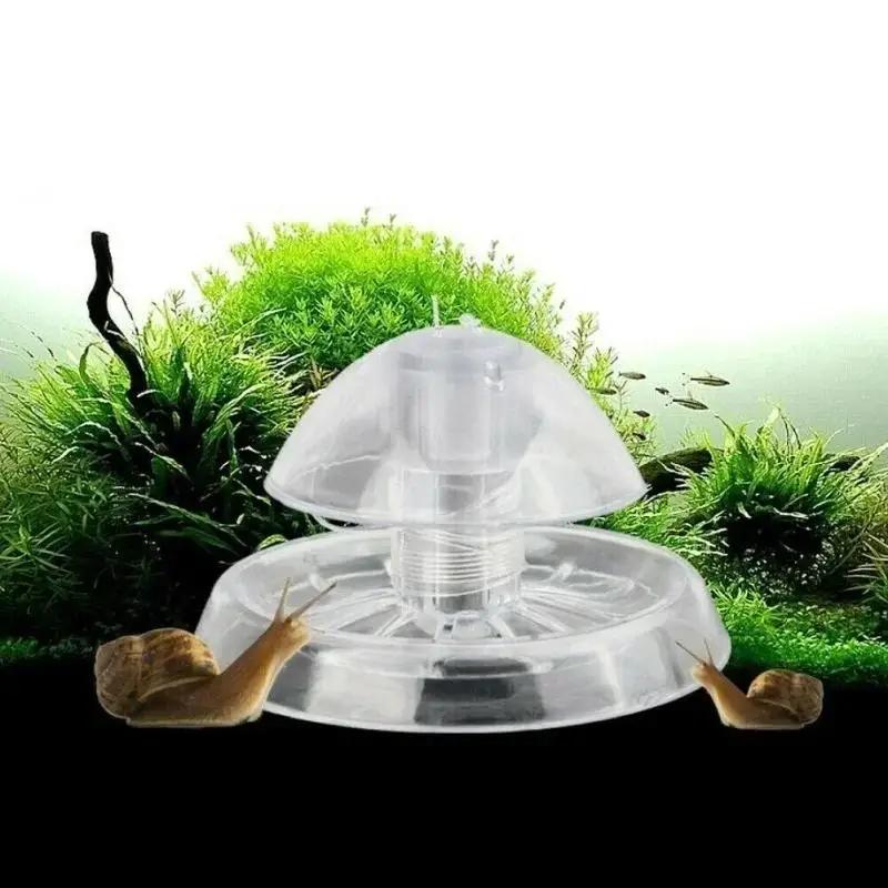 Новая прозрачная пластиковая л – обзор и цена Aquarium Planted Fish
