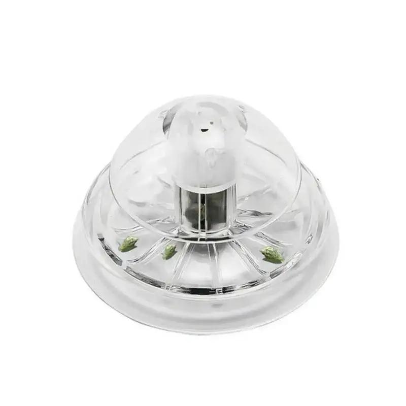 Новая прозрачная пластиковая л – обзор и цена Aquarium Planted Fish