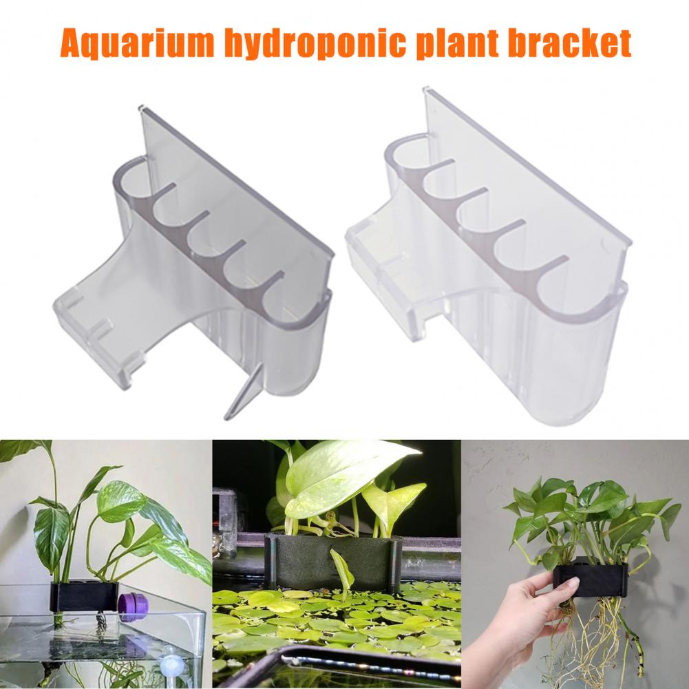 4,5/6,5 см держатель для аквар – обзор и цена Aquarium Planted Fish