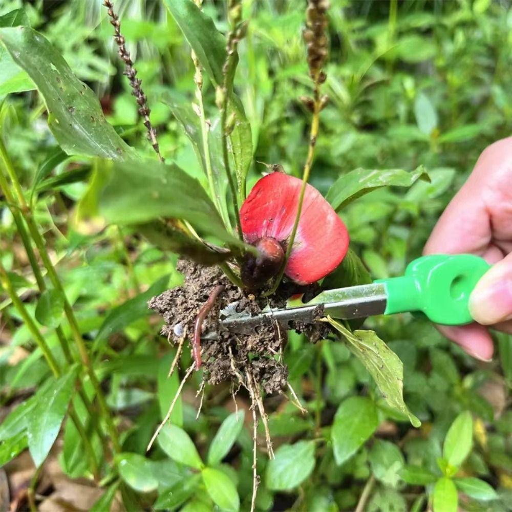 Пинцет для садоводства из нерж – обзор и цена Planted Clip Tweezers