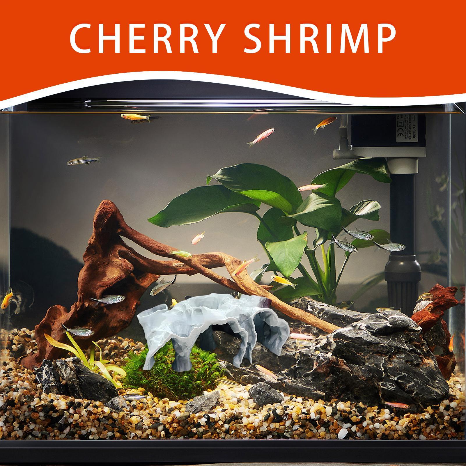 Пещера-тоннель для аквариума,  – обзор и цена Planted Aquarium For Betta