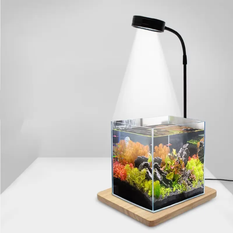 Светодиодная лампа полного спе – обзор и цена Planted Aquarium For Betta