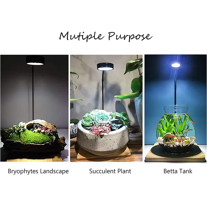 Светодиодная лампа полного спе – обзор и цена Planted Aquarium For Betta