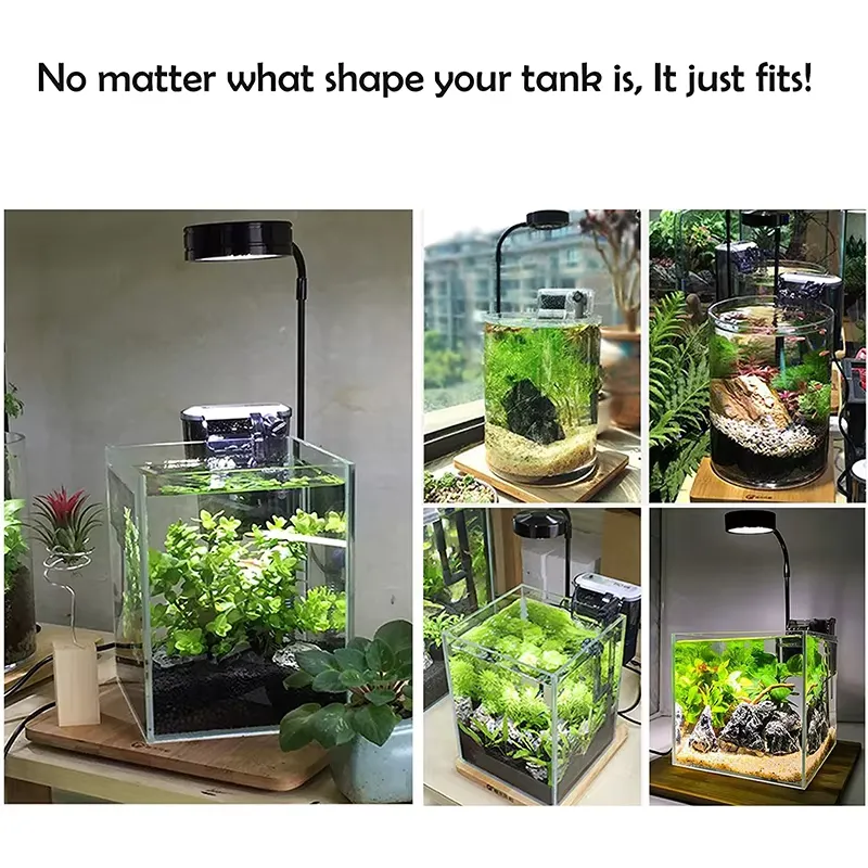 Светодиодная лампа полного спе – обзор и цена Planted Aquarium For Betta