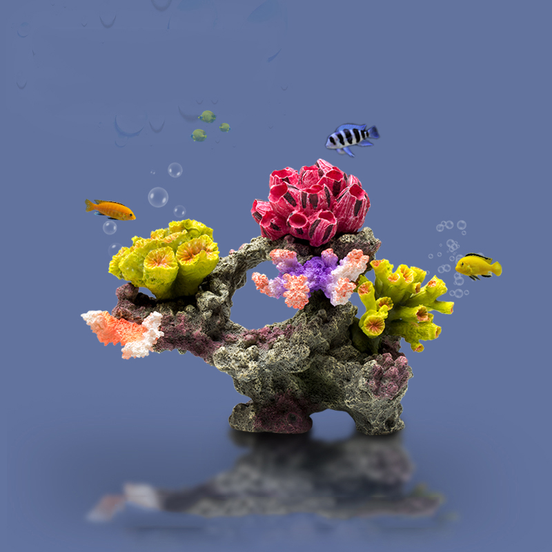 Украшения Betta Fishbowl, боль – обзор и цена Planted Aquarium For Betta