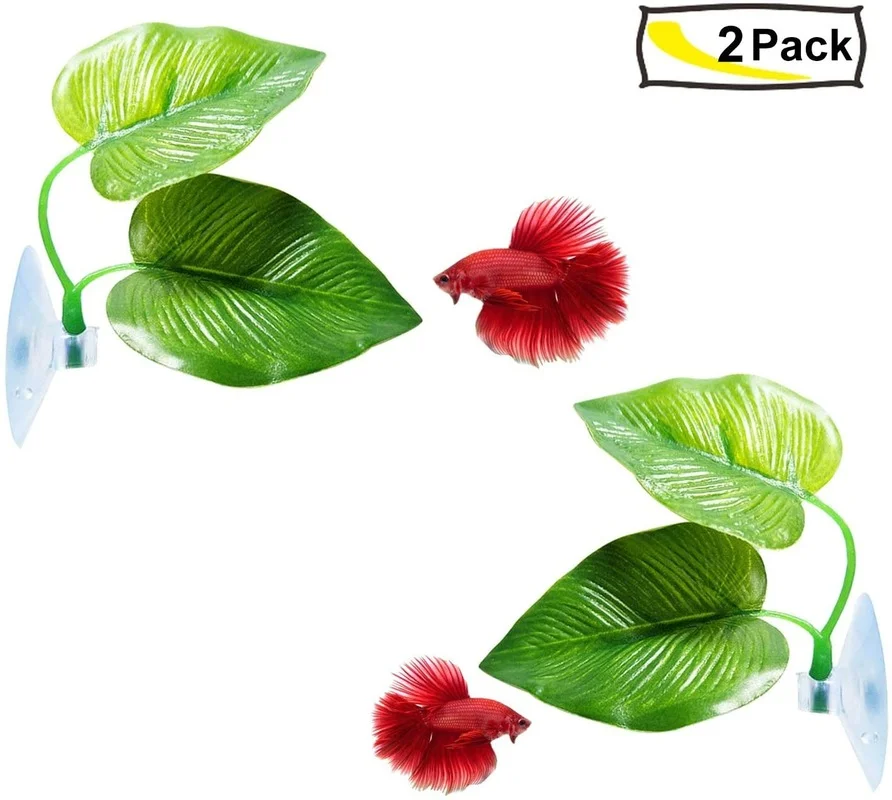 Гамак из листьев рыбы Бетта, и – обзор и цена Planted Aquarium For Betta