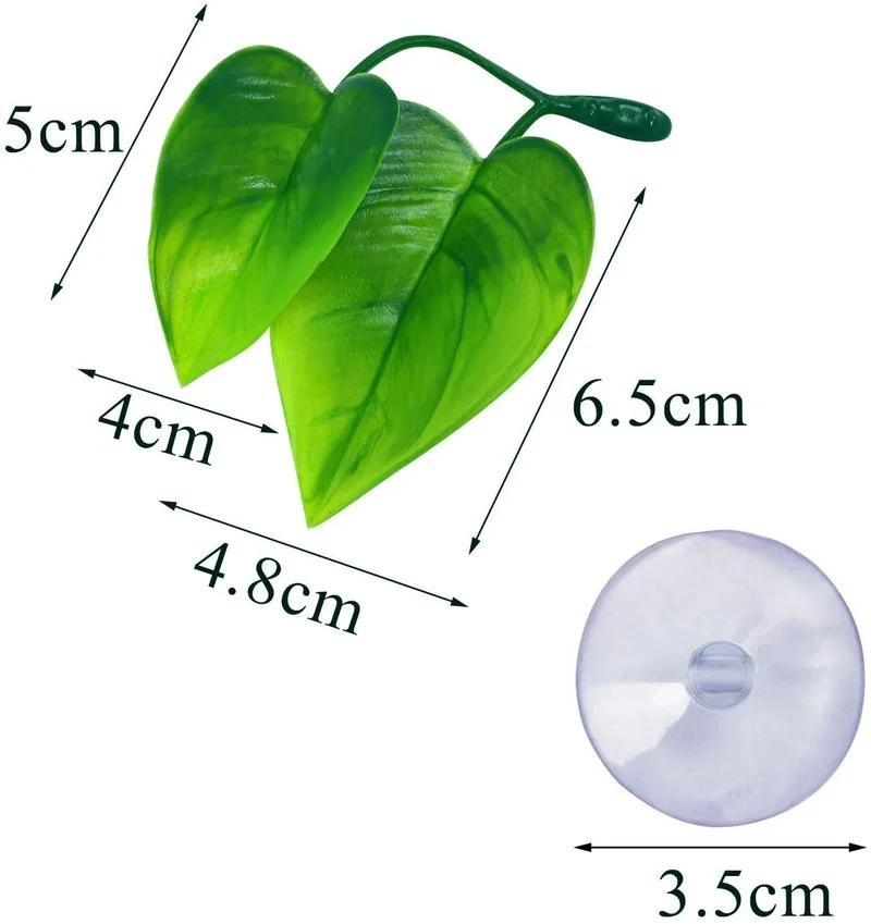 Гамак из листьев рыбы Бетта, и – обзор и цена Planted Aquarium For Betta