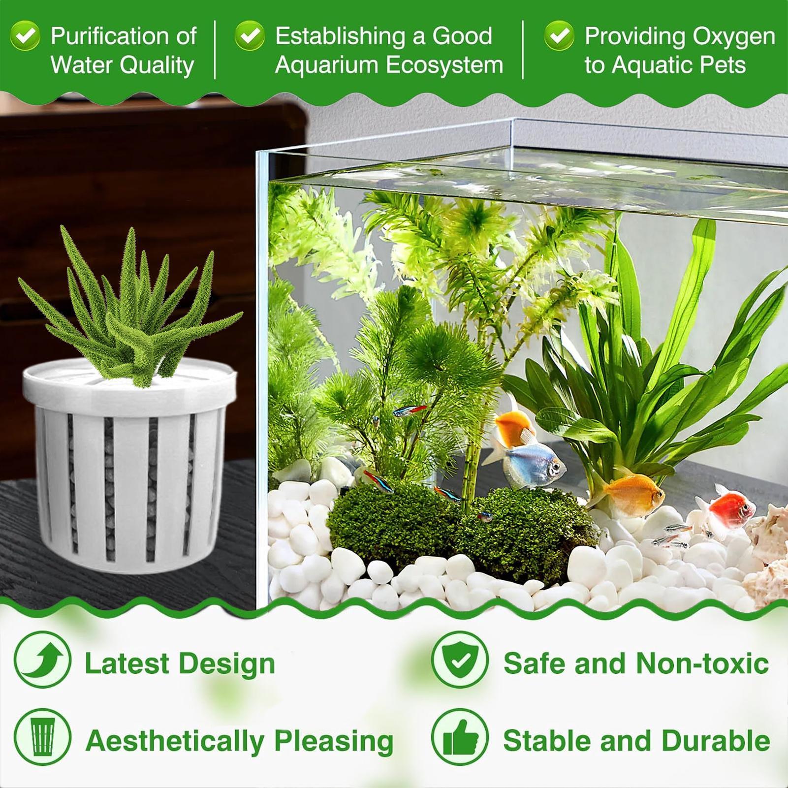 Набор из 4-х аквариумных горшк – обзор и цена Aquarium Plant Live