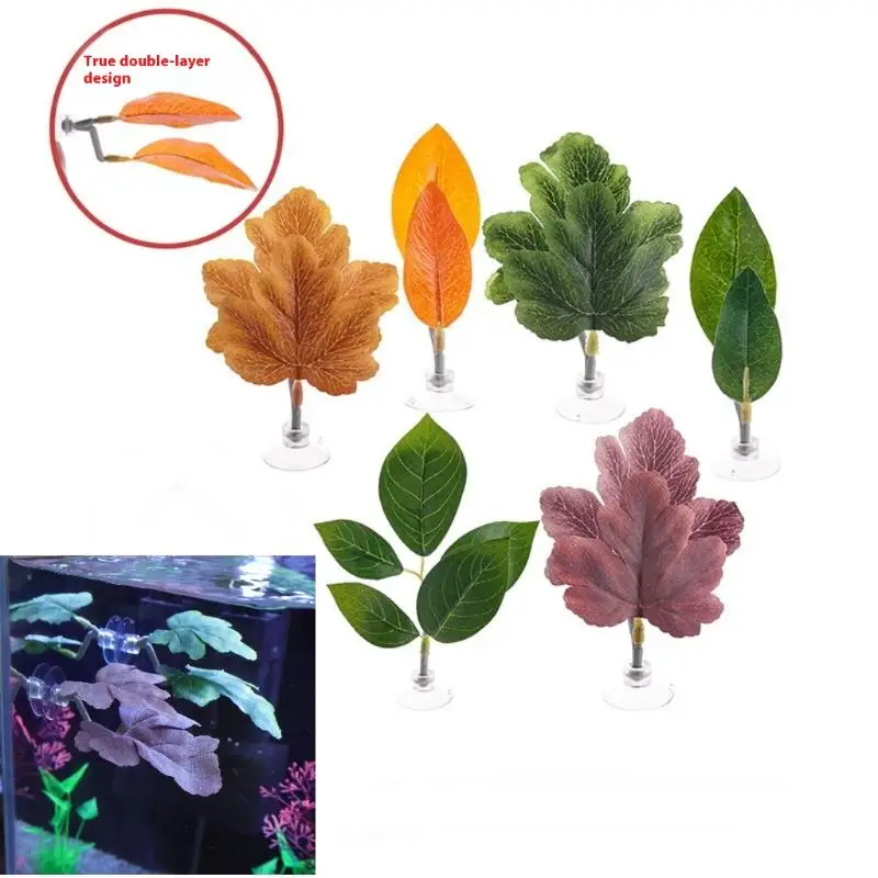 Гамак из листьев рыбы Betta, д – обзор и цена Planted Aquarium For Betta