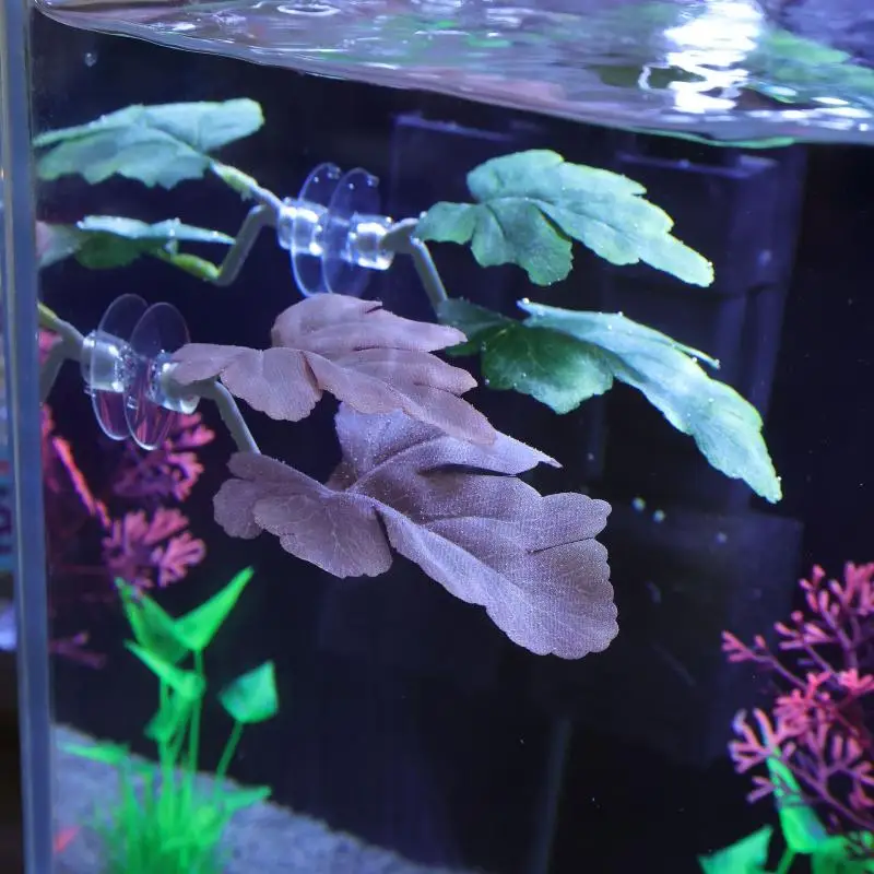 Гамак из листьев рыбы Betta, д – обзор и цена Planted Aquarium For Betta