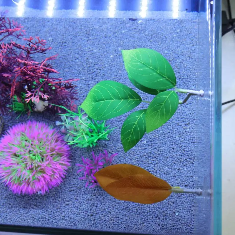 Гамак из листьев рыбы Betta, д – обзор и цена Planted Aquarium For Betta