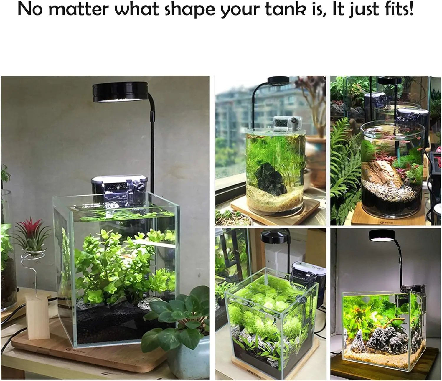Светодиодный светильник для вы – обзор и цена Planted Aquarium For Betta