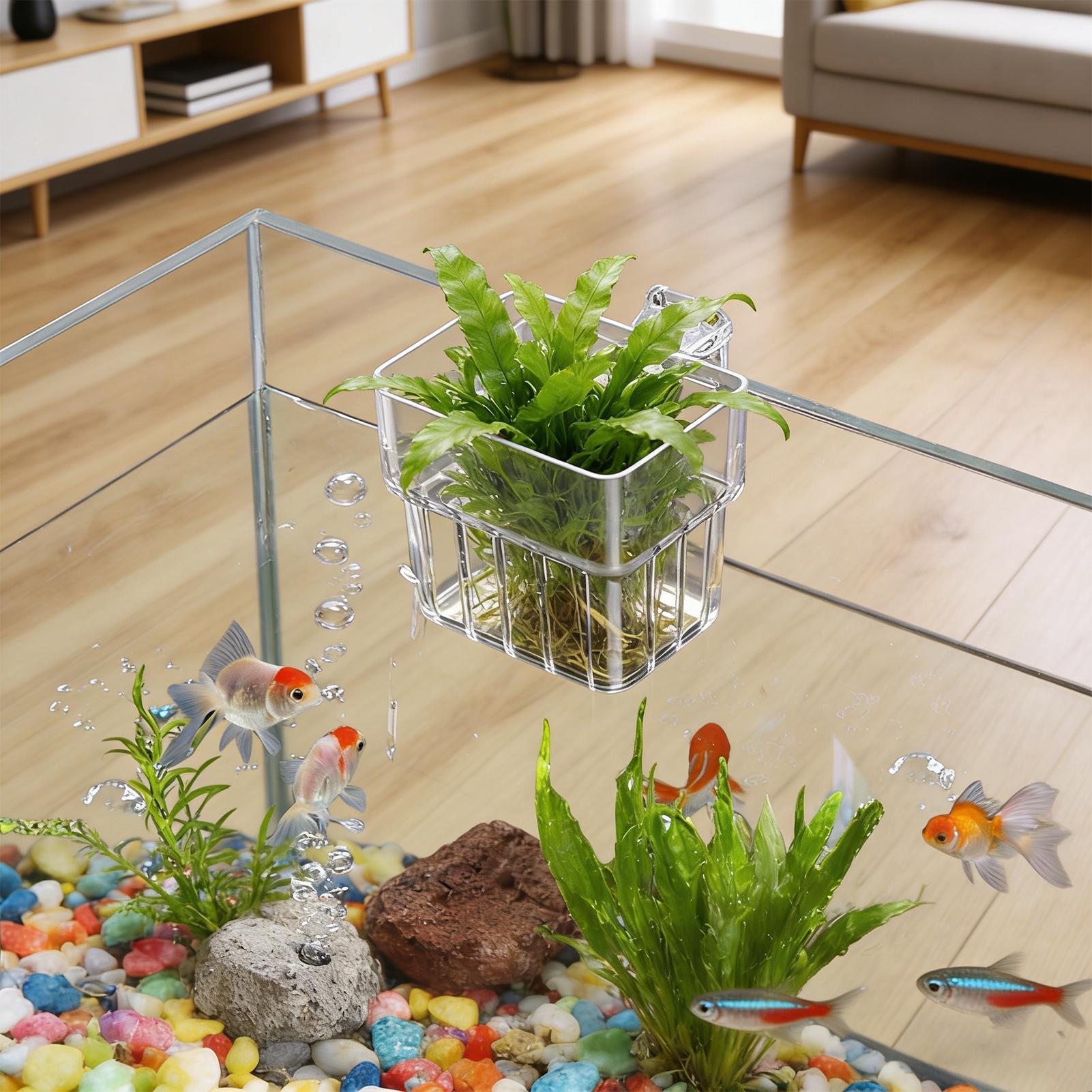 Прозрачный подвесной горшок-де – обзор и цена Aquarium Plant Live