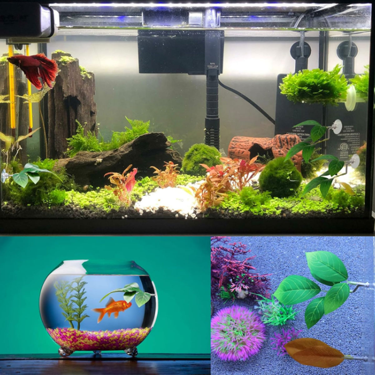 1 шт. Гамак для рыбок Бетта, м – обзор и цена Planted Aquarium Betta