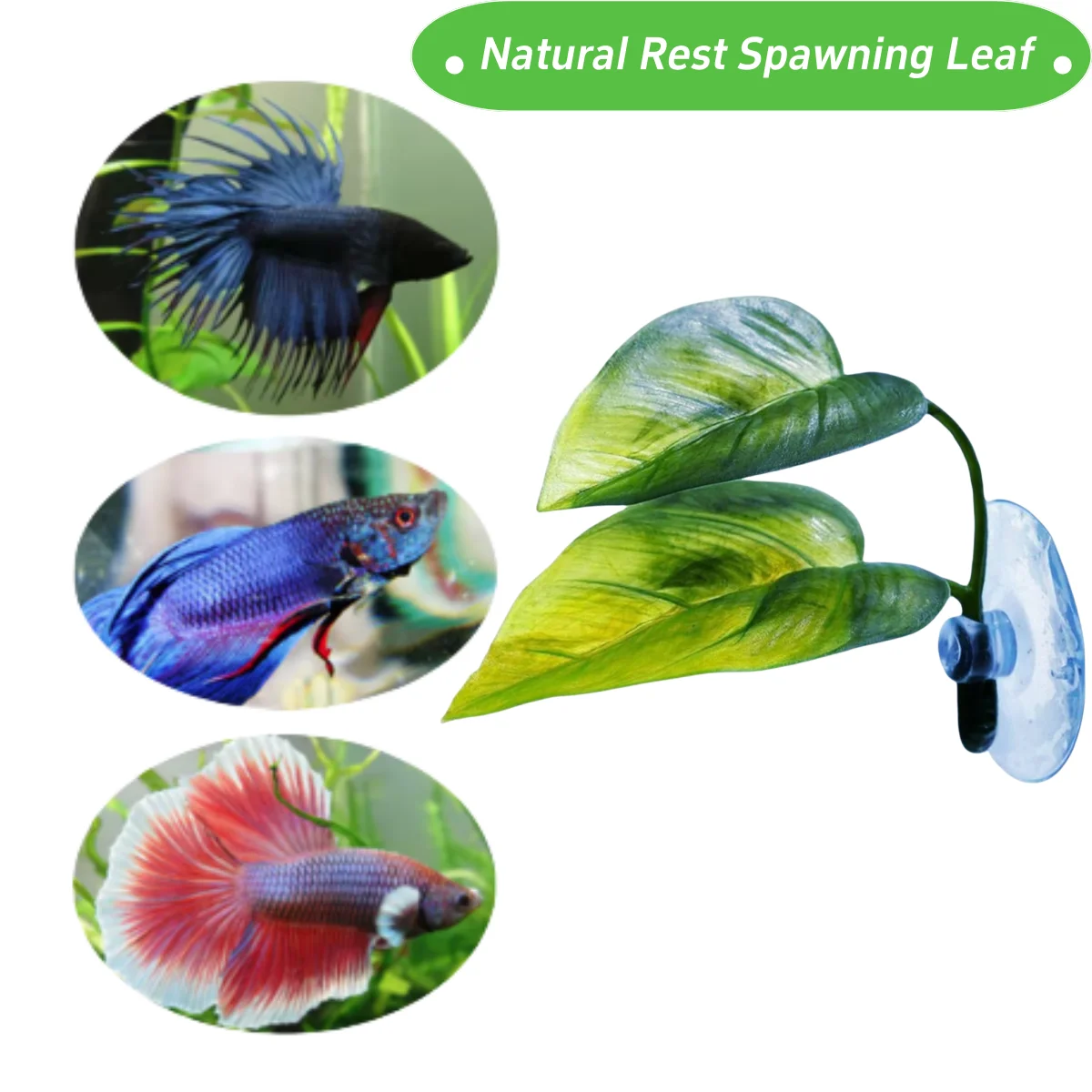 Декор для аквариума для домашн – обзор и цена Planted Aquarium For Betta