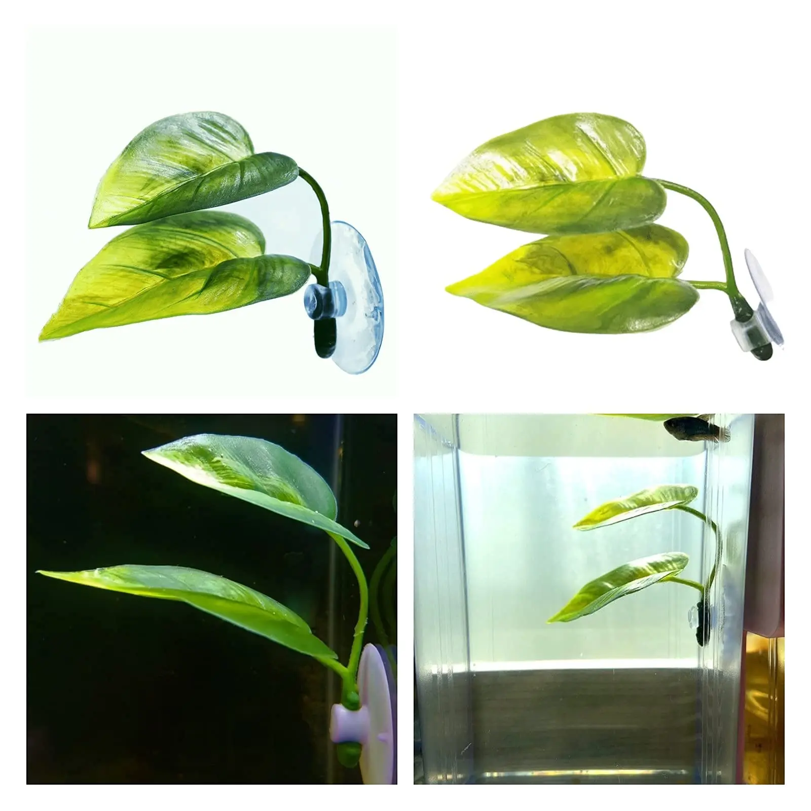 Декор для аквариума для домашн – обзор и цена Planted Aquarium For Betta