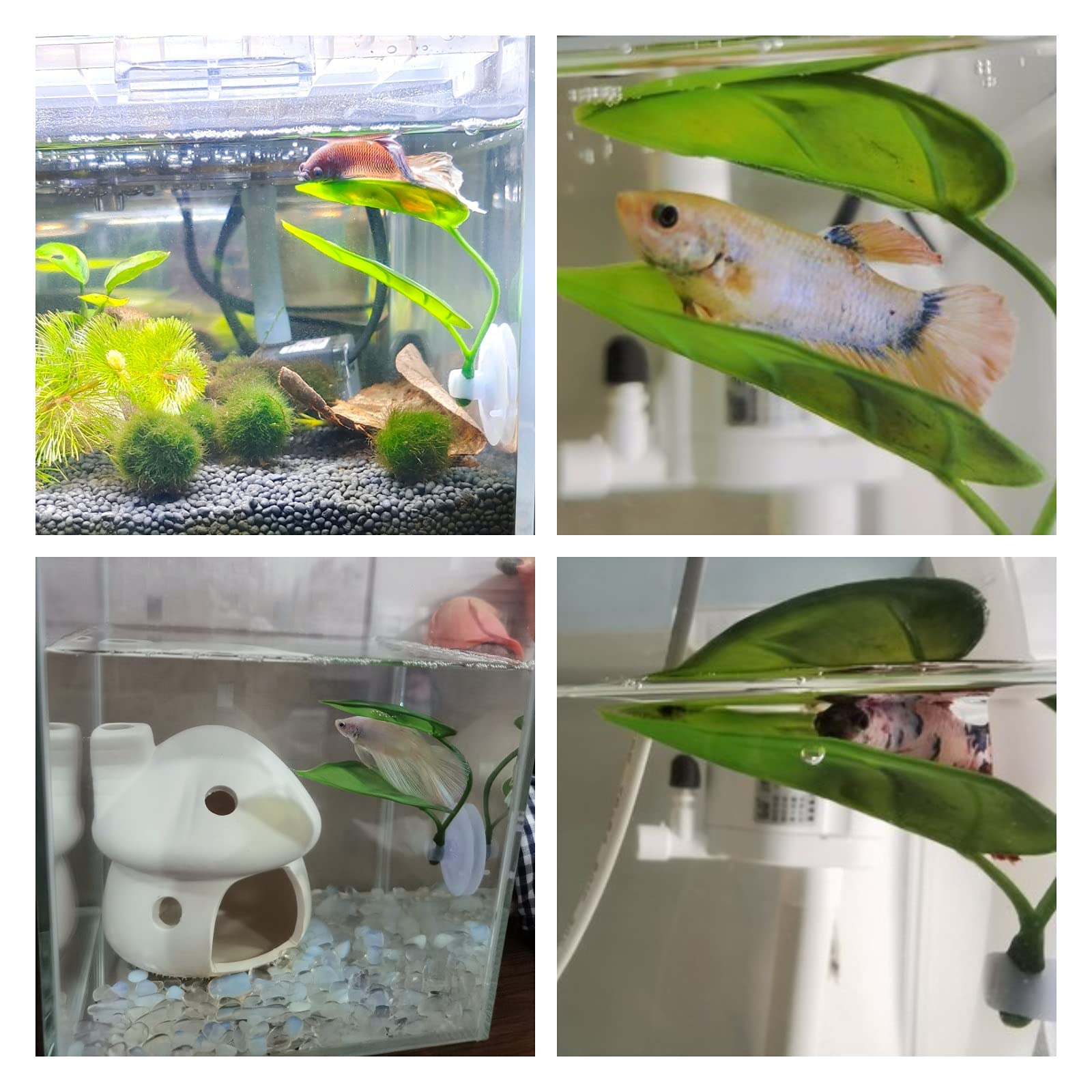 Декор для аквариума для домашн – обзор и цена Planted Aquarium For Betta
