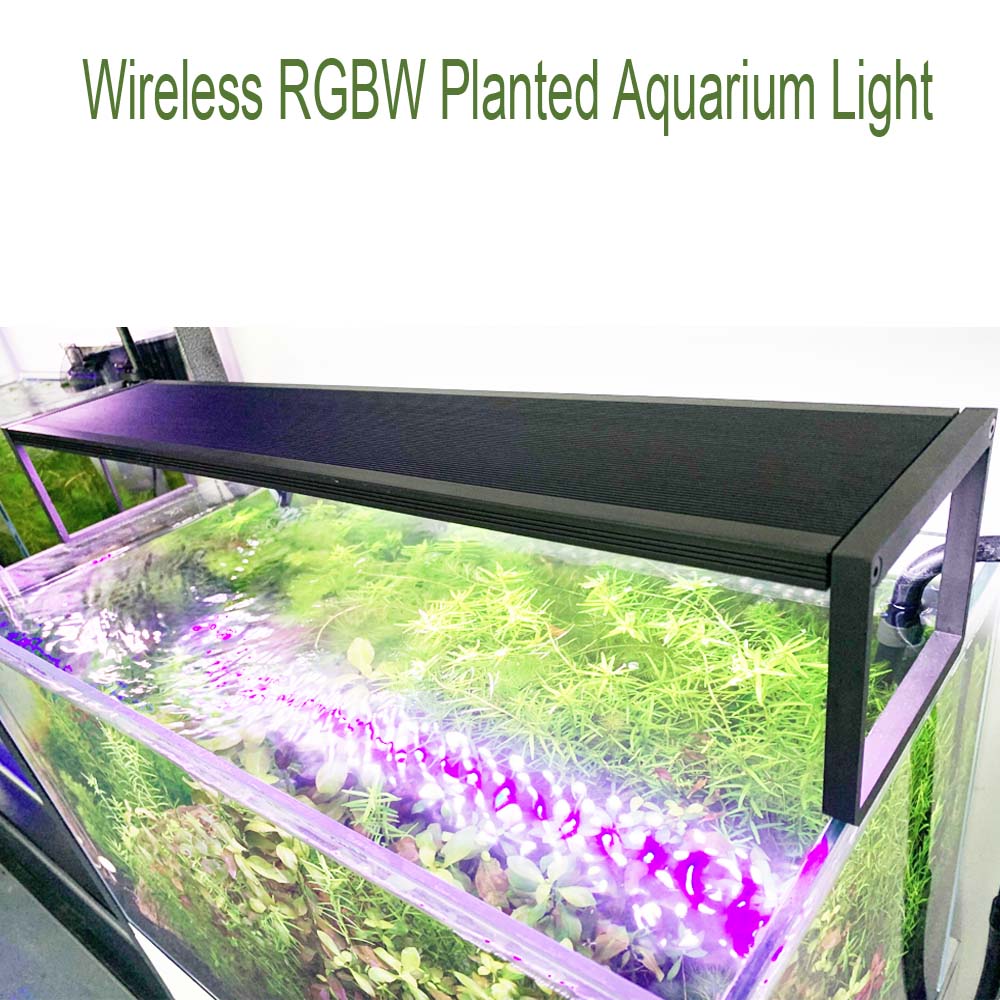 Светодиодный светильник для ак – обзор и цена Aquarium Plant Grass
