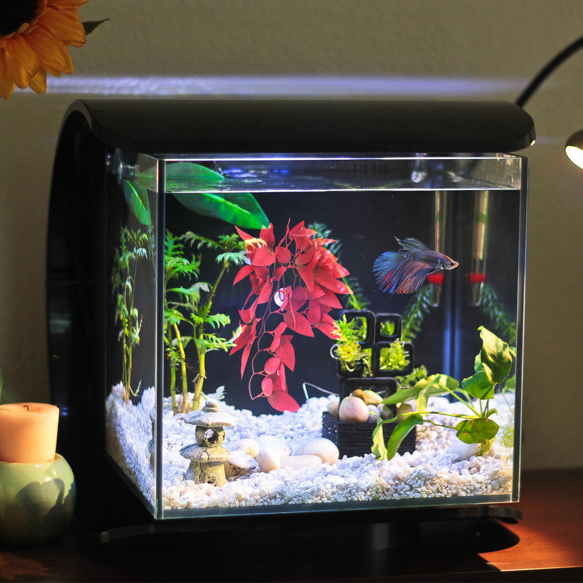 Реалистичные искусственные рас – обзор и цена Planted Aquarium For Betta