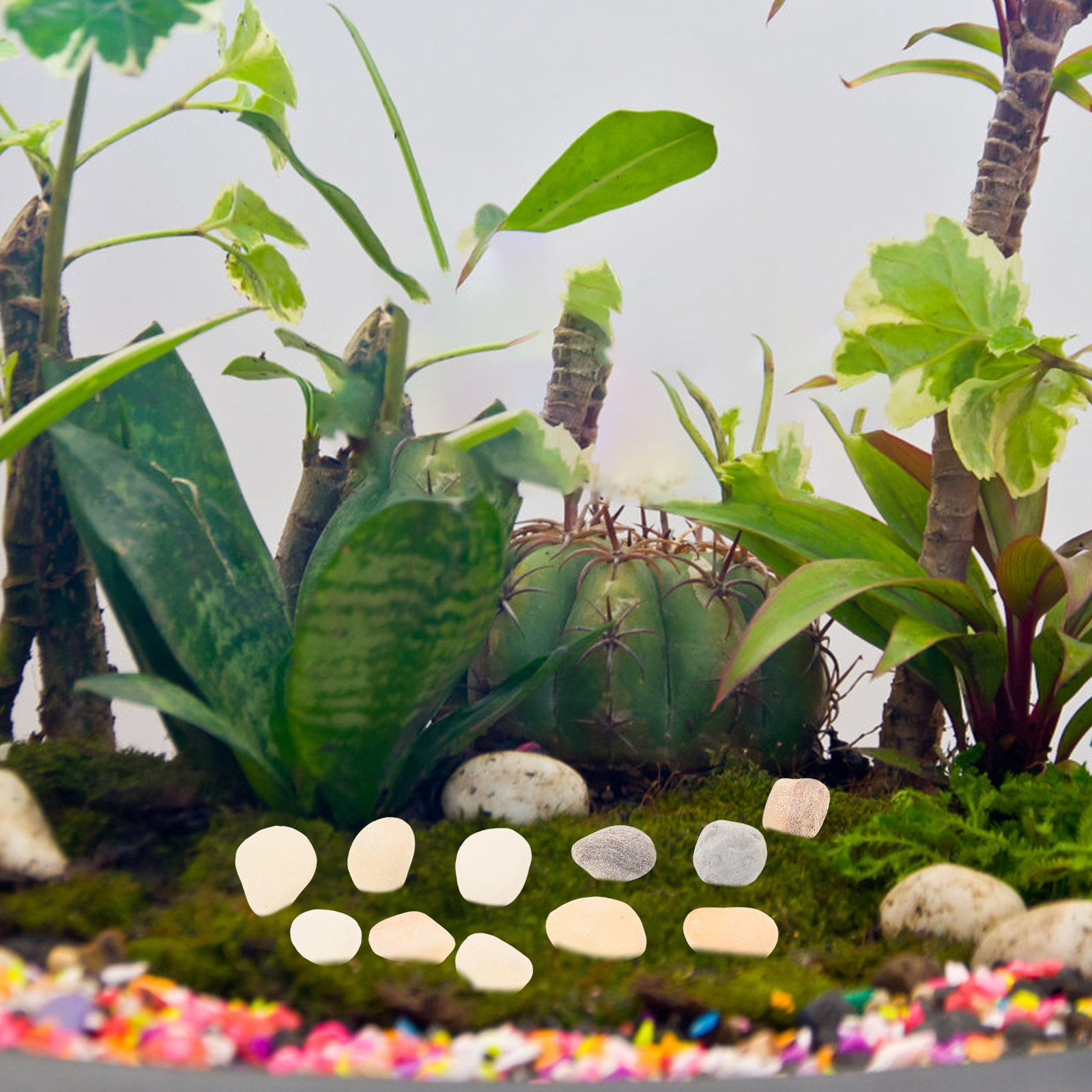 Натуральная декоративная гальк – обзор и цена Aquarium Plant Gravel
