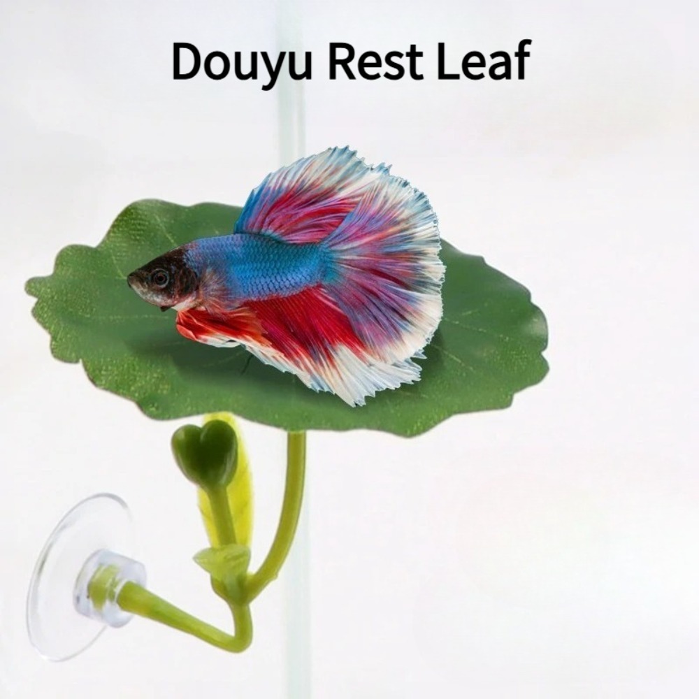 1 шт. зеленый гамак для рыбок  – обзор и цена Planted Aquarium For Betta