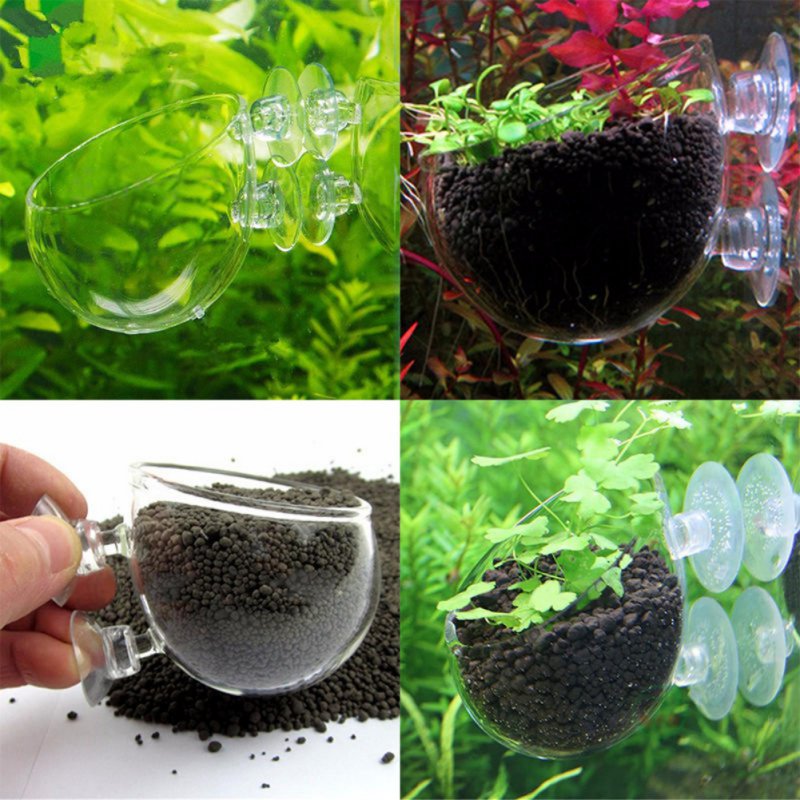 Стеклянная цилиндрическая чашк – обзор и цена Planted Aquarium Moss
