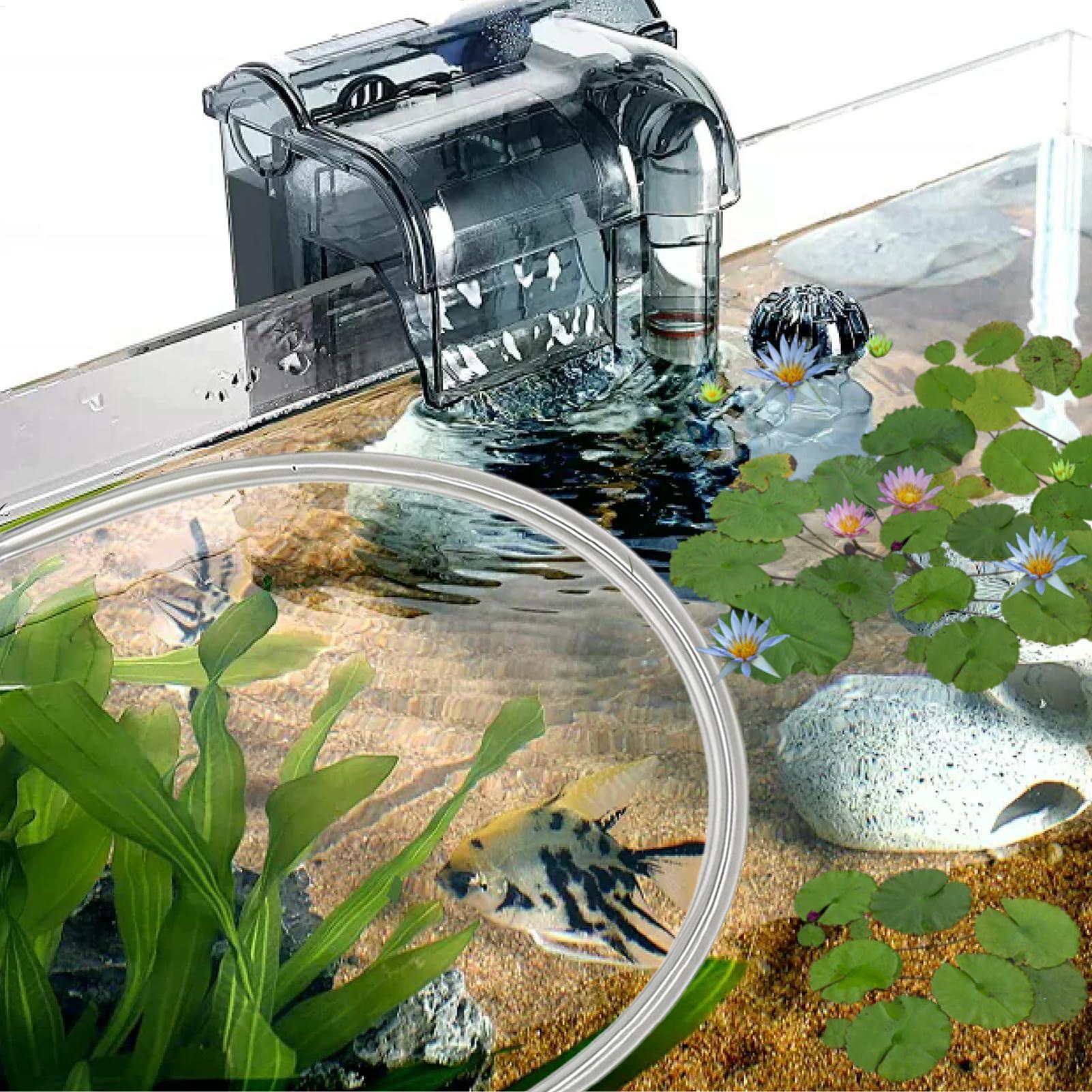 Автоматически регулируемый по  – обзор и цена Planted Aquarium For Betta