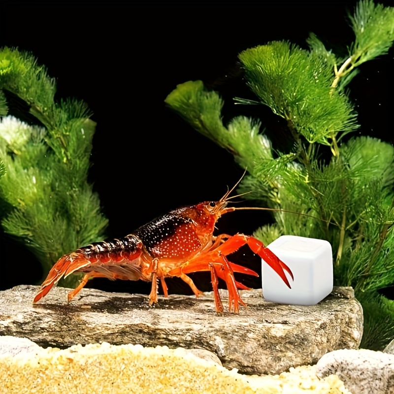 6 шт., аквариум, кальциевый бл – обзор и цена Aquarium Plant Live