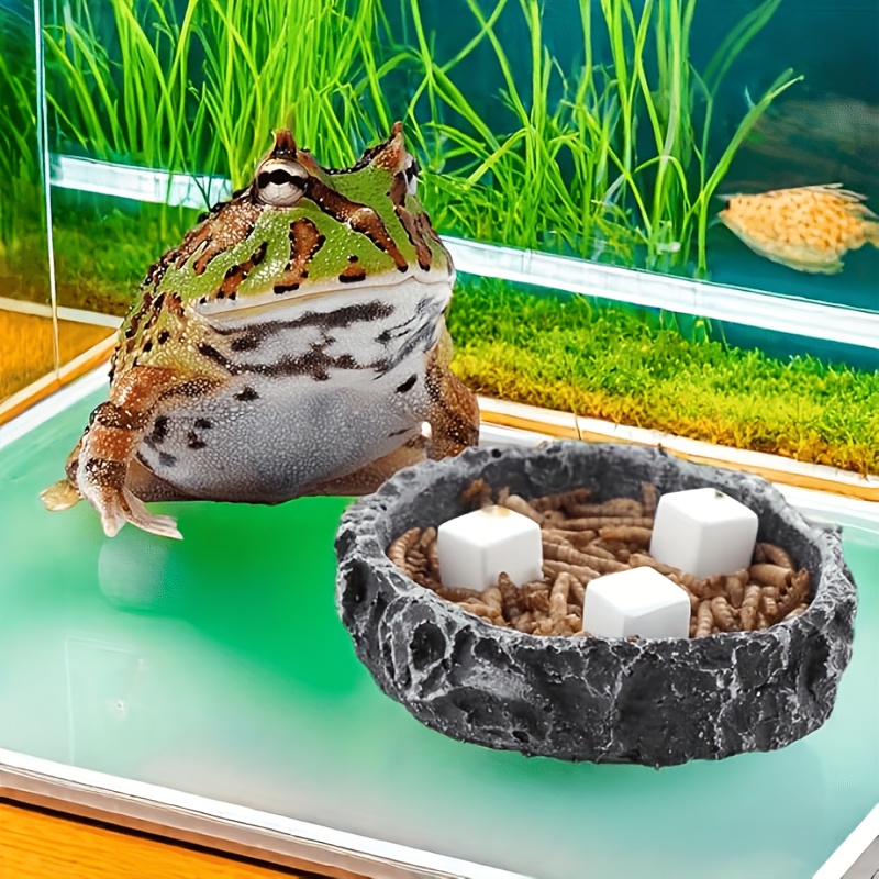 6 шт., аквариум, кальциевый бл – обзор и цена Aquarium Plant Live