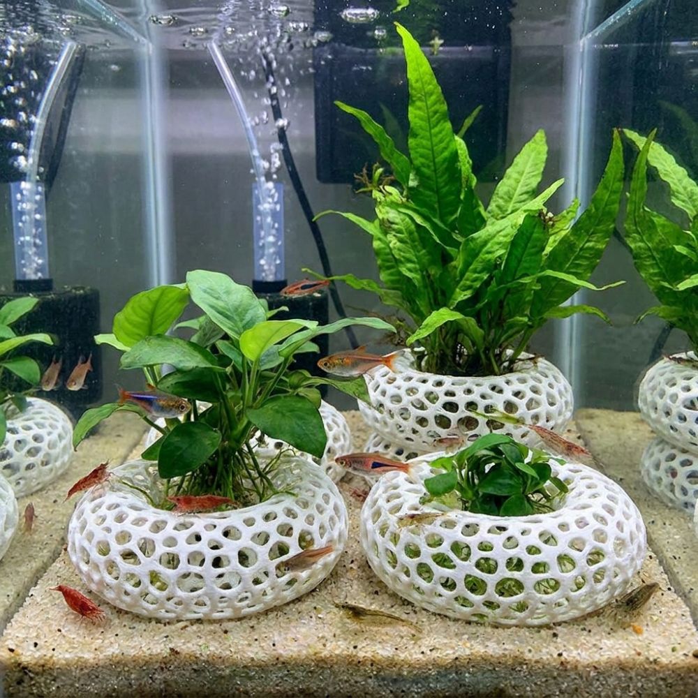 3D-печатная пещера-укрытие для – обзор и цена Planted Aquarium Moss