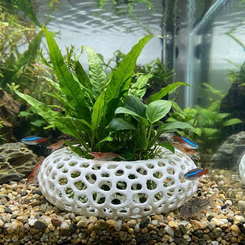 3D-печатная пещера-укрытие для – обзор и цена Planted Aquarium Moss